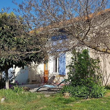 Petite Maison Refaite A Neuf Dans Mas Du 19Eme Siecle Arles Ngoại thất bức ảnh