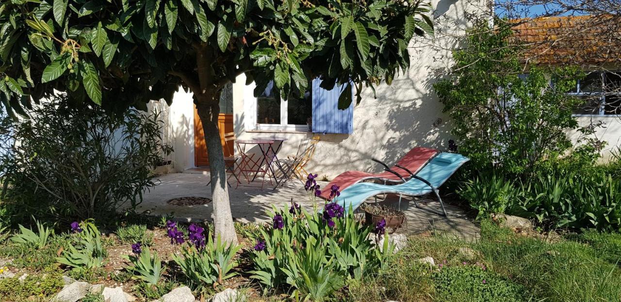 Petite Maison Refaite A Neuf Dans Mas Du 19Eme Siecle Arles Ngoại thất bức ảnh
