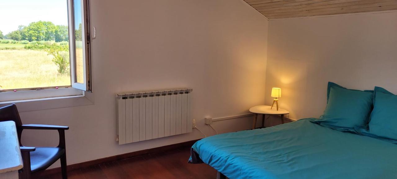 Petite Maison Refaite A Neuf Dans Mas Du 19Eme Siecle Arles Ngoại thất bức ảnh